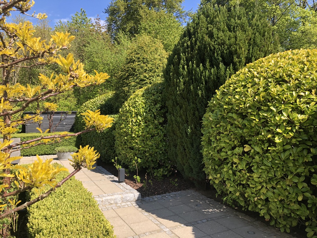 A paved garden path between clipped boxwood and rounded shrubs, with the forest rising beyond